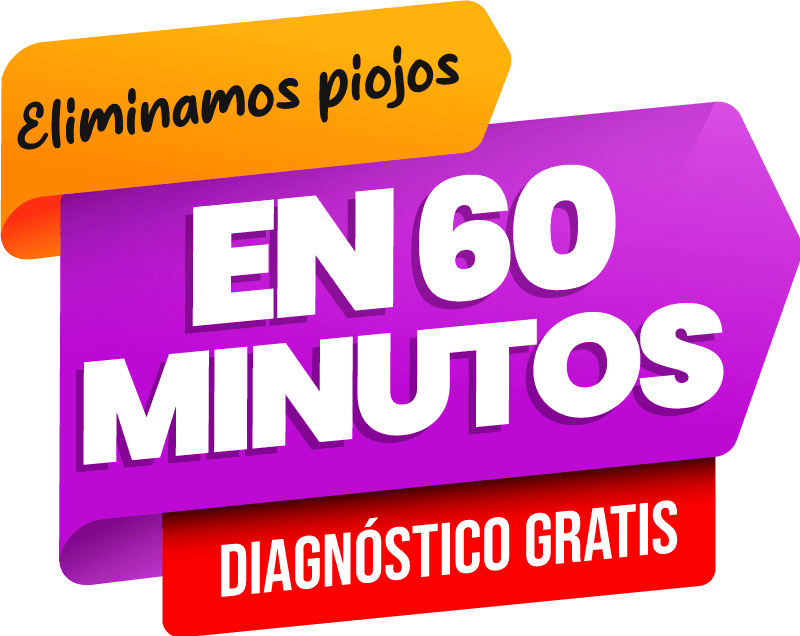 Clínica de Eliminación de Piojos y Liendres: Resultados en 60 Minutos