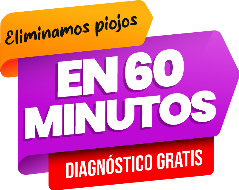 Eliminamos piojos en 60 minutos, diagnóstico gratis